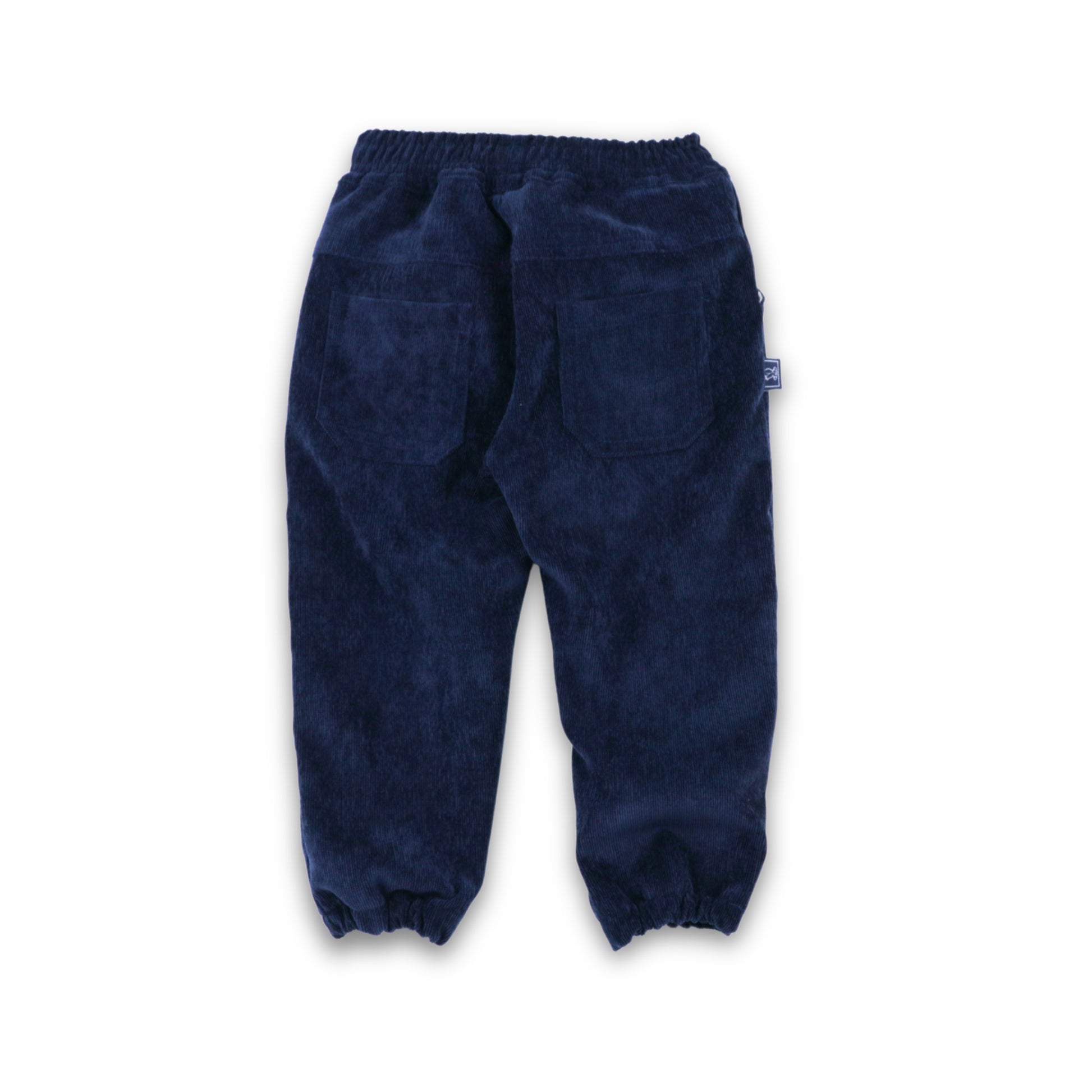 PANTALON BBCORD CON FORRO AZUL 7695